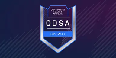 Data Transfer Security Logo